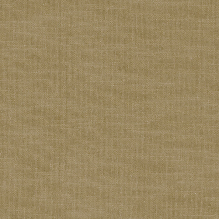 F1239 45 Amalfi Olive by Clarke and Clarke Designer Fabric CLARKE & CLARKE COTTON - 77%;POLYESTER - 23% India HEAVY Horizontal: 0 and Vertical: 0 54 - Swanky Fabrics -
