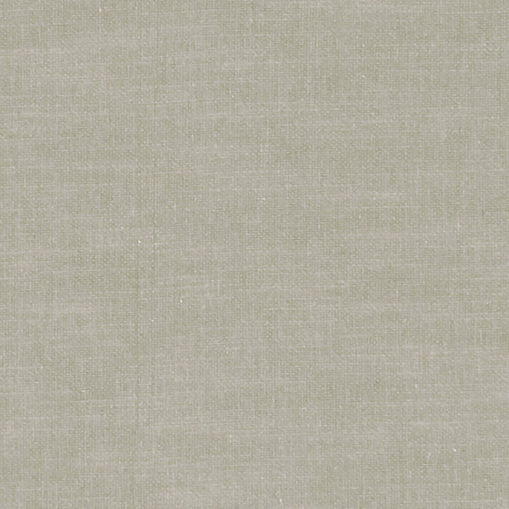 F1239 48 Amalfi Pebble by Clarke and Clarke Designer Fabric CLARKE & CLARKE COTTON - 77%;POLYESTER - 23% India HEAVY Horizontal: 0 and Vertical: 0 54 - Swanky Fabrics -