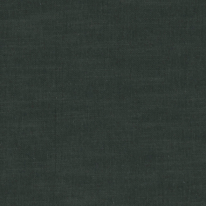 F1239 53 Amalfi Raven by Clarke and Clarke Designer Fabric CLARKE & CLARKE COTTON - 77%;POLYESTER - 23% India HEAVY Horizontal: 0 and Vertical: 0 54 - Swanky Fabrics -