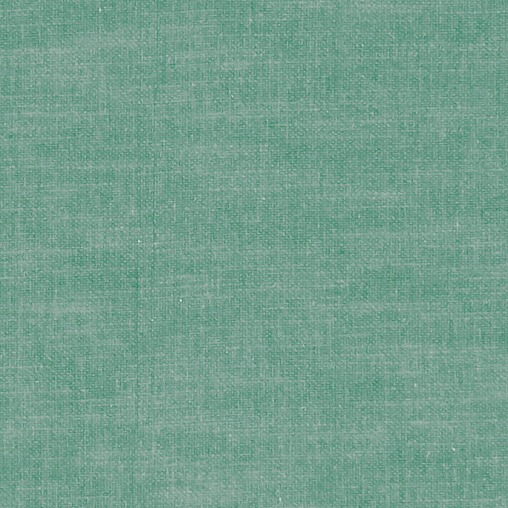F1239 56 Amalfi Seafoam by Clarke and Clarke Designer Fabric CLARKE & CLARKE COTTON - 77%;POLYESTER - 23% India HEAVY Horizontal: 0 and Vertical: 0 54 - Swanky Fabrics -