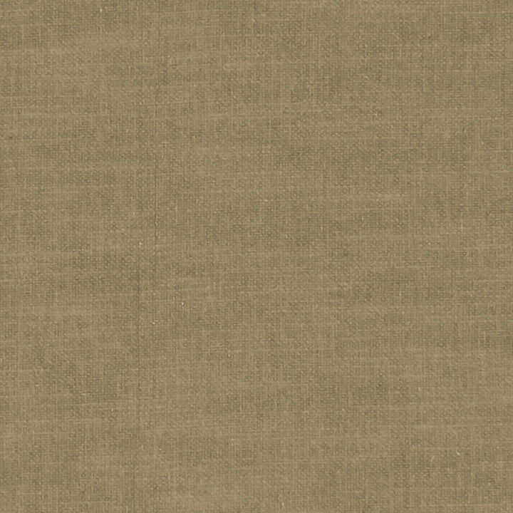 F1239 65 Amalfi Truffle by Clarke and Clarke Designer Fabric CLARKE & CLARKE COTTON - 77%;POLYESTER - 23% India HEAVY Horizontal: 0 and Vertical: 0 54 - Swanky Fabrics -