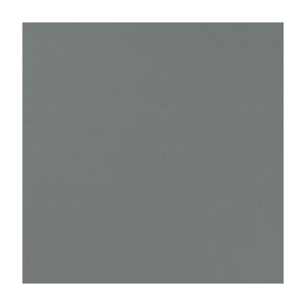 Novara Charcoal by Clarke And Clarke Designer Fabric CLARKE & CLARKE NOVARA COTTON - 65%;POLYESTER - 35% India Horizontal: and Vertical: 114.25 - Swanky Fabrics -