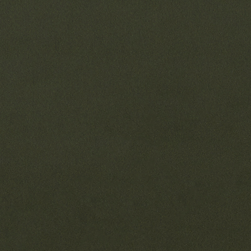 Lucca Chive by Clarke And Clarke Designer Fabric CLARKE & CLARKE ALONSO POLYESTER - 100% China HEAVY Horizontal: - and Vertical: - 55.125 - Swanky Fabrics -