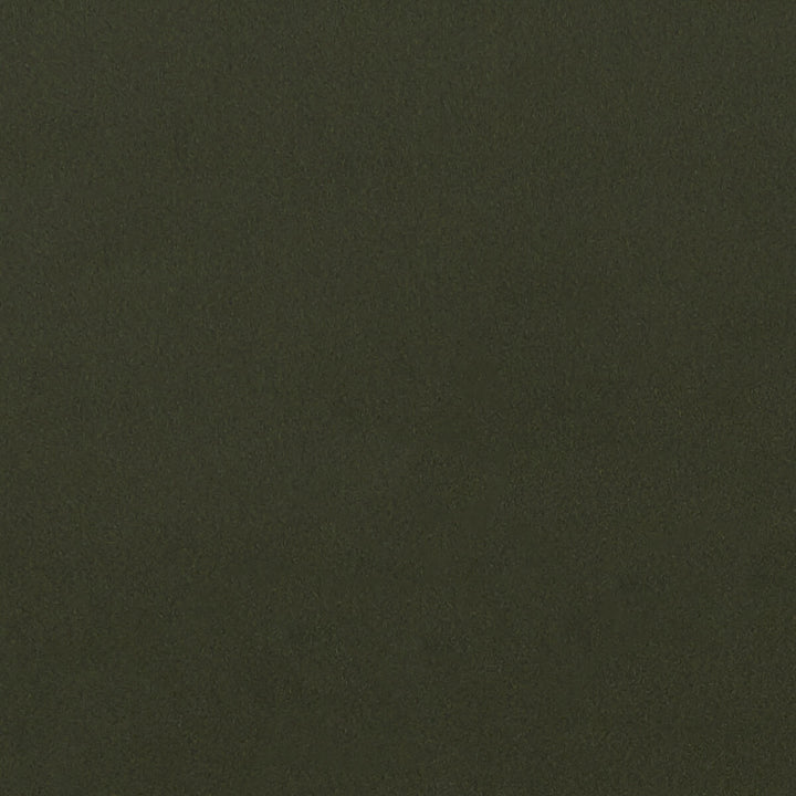 Lucca Chive by Clarke And Clarke Designer Fabric CLARKE & CLARKE ALONSO POLYESTER - 100% China HEAVY Horizontal: - and Vertical: - 55.125 - Swanky Fabrics -