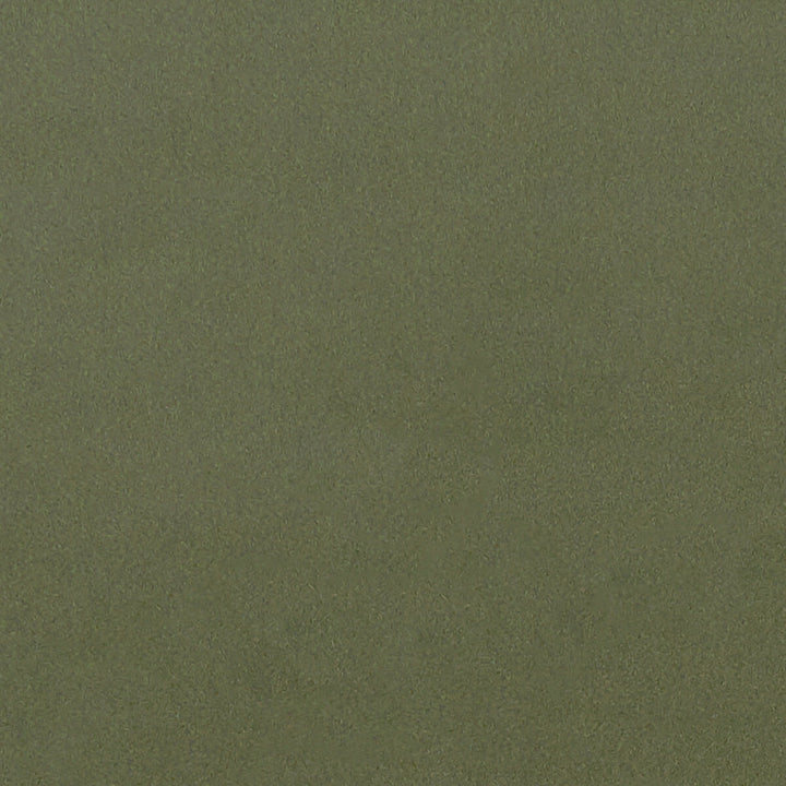 Lucca Herb by Clarke And Clarke Designer Fabric CLARKE & CLARKE ALONSO POLYESTER - 100% China HEAVY Horizontal: and Vertical: 55.125 - Swanky Fabrics -