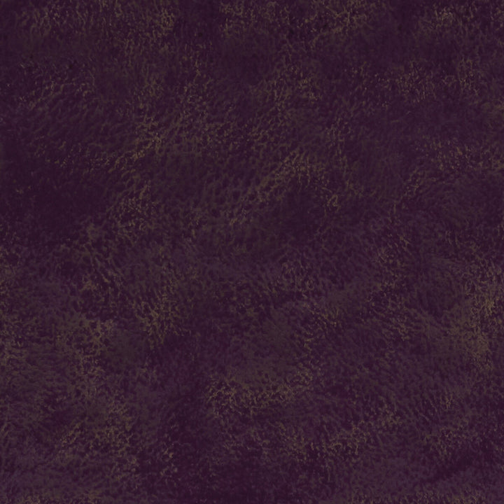 Nola Aubergine by Clarke And Clarke Fabric Clarke And Clarke Fabric Nola AubergineFabric CLARKE & CLARKE ALONSO POLYESTER - 100% China </p><p>Repeat: H: , V: 55.125 - Fabric Carolina -