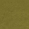Nola Citrus by Clarke And Clarke Designer Fabric