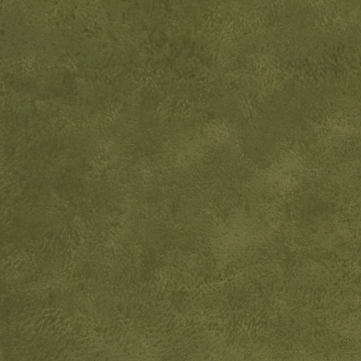 Nola Olive by Clarke And Clarke Designer Fabric CLARKE & CLARKE ALONSO POLYESTER - 100% China HEAVY Horizontal: - and Vertical: - 55.125 - Swanky Fabrics -