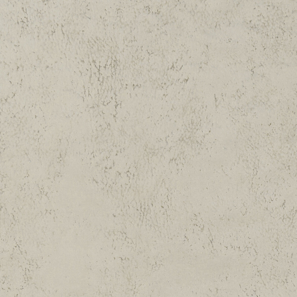 Nola Oyster by Clarke And Clarke Designer Fabric CLARKE & CLARKE ALONSO POLYESTER - 100% China HEAVY Horizontal: and Vertical: 55.125 - Swanky Fabrics -