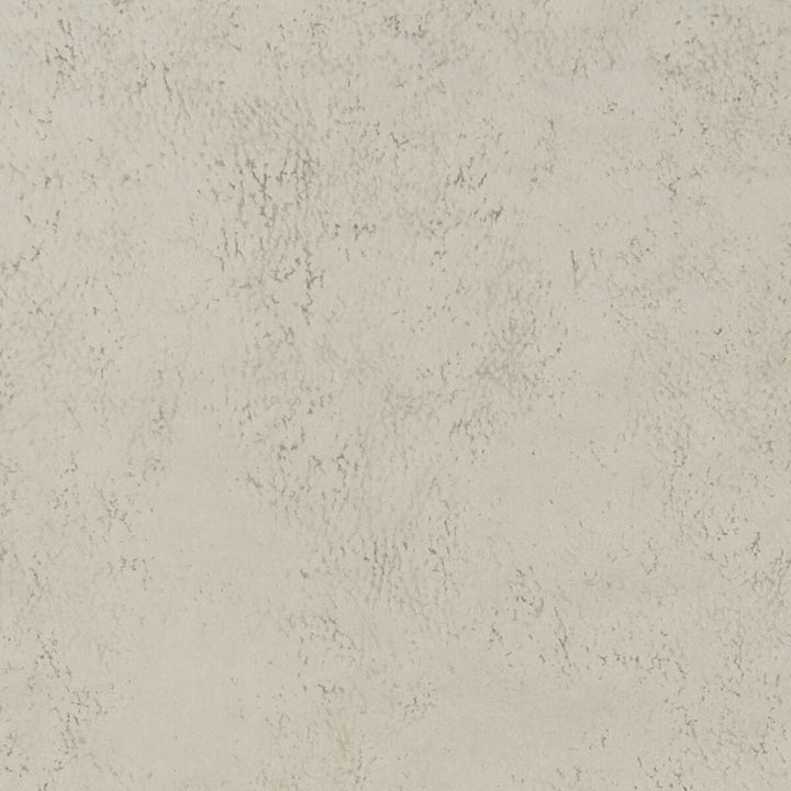 Nola Oyster by Clarke And Clarke Designer Fabric CLARKE & CLARKE ALONSO POLYESTER - 100% China HEAVY Horizontal: and Vertical: 55.125 - Swanky Fabrics -