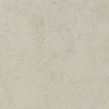 Nola Oyster by Clarke And Clarke Designer Fabric