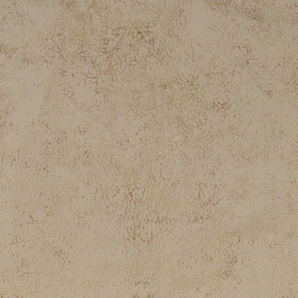 Nola Stone by Clarke And Clarke Designer Fabric CLARKE & CLARKE ALONSO POLYESTER - 100% China HEAVY Horizontal: and Vertical: 55.125 - Swanky Fabrics -