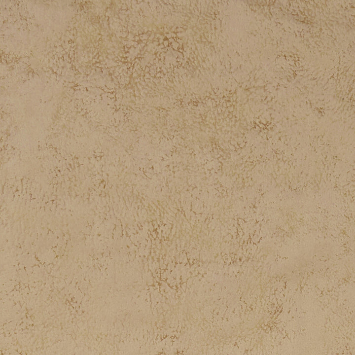 Nola Taupe by Clarke And Clarke Designer Fabric CLARKE & CLARKE ALONSO POLYESTER - 100% China HEAVY Horizontal: - and Vertical: - 55.125 - Swanky Fabrics -