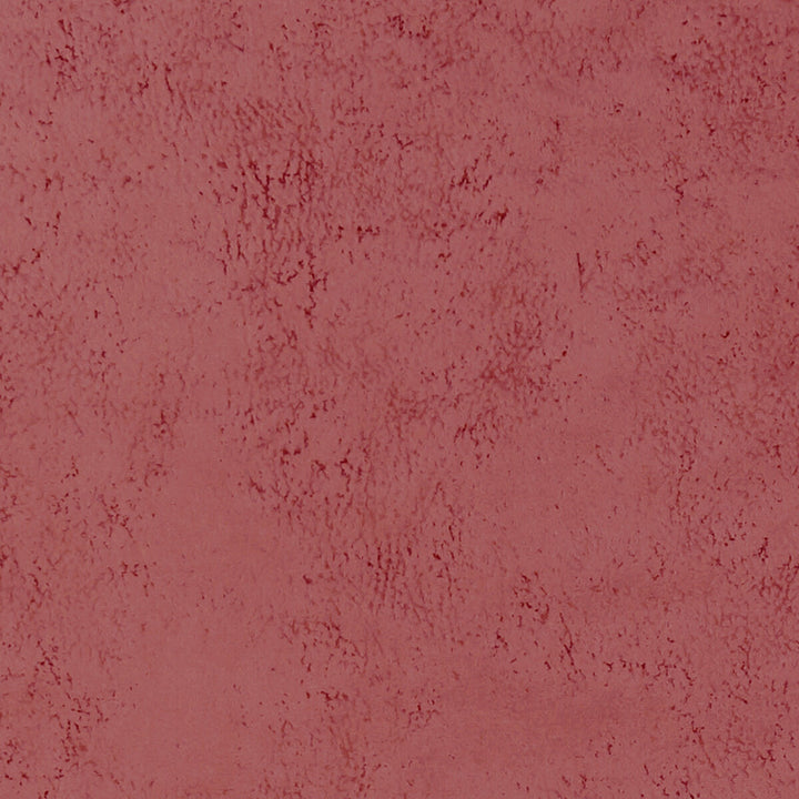 Nola Blush by Clarke And Clarke Designer Fabric CLARKE & CLARKE ALONSO POLYESTER - 100% China HEAVY Horizontal: - and Vertical: - 55.125 - Swanky Fabrics -