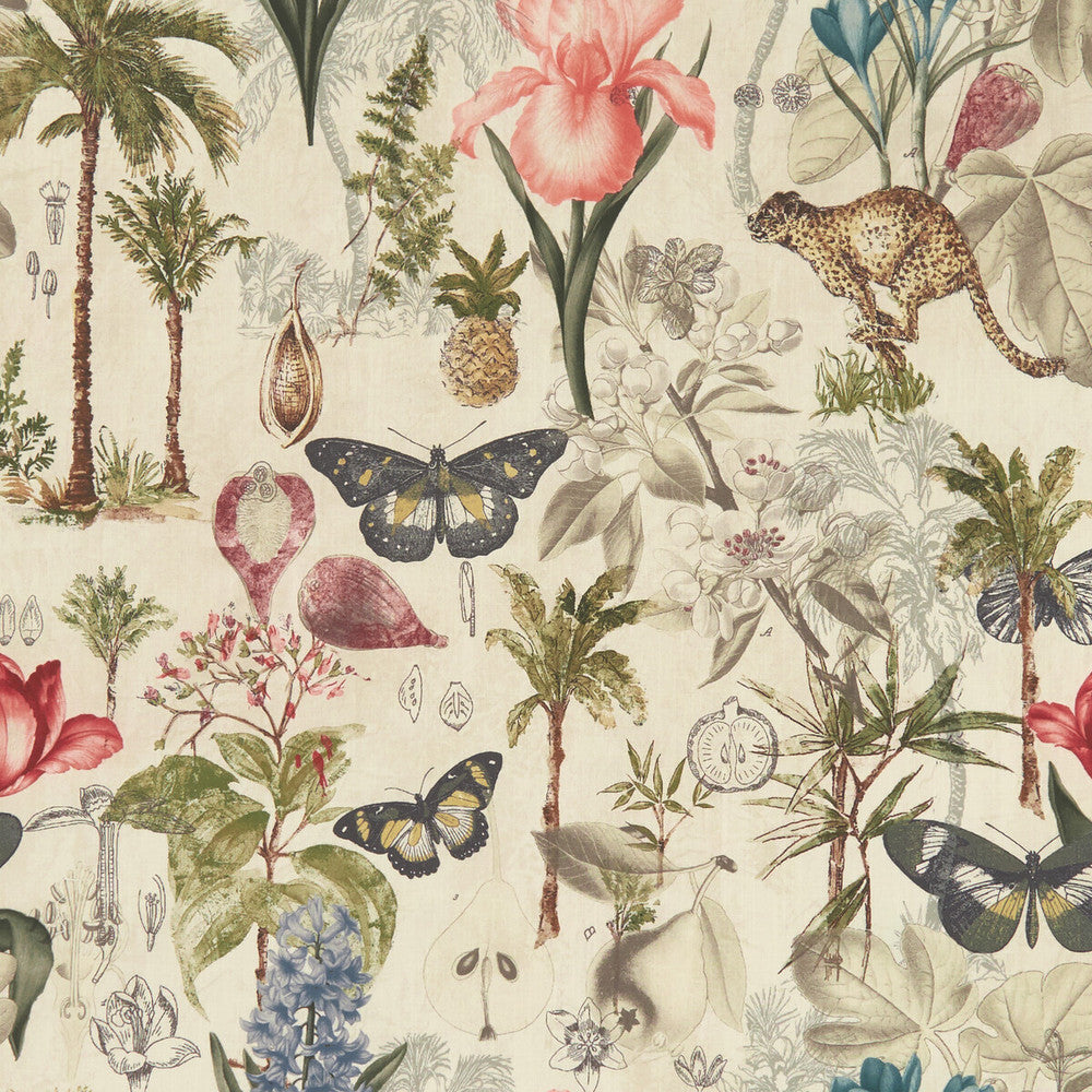Botany Tropical by Clarke And Clarke Designer Fabric CLARKE & CLARKE EXOTICA COTTON - 100% India HEAVY Horizontal: 27.125 and Vertical: 27.125 55.125 - Swanky Fabrics -