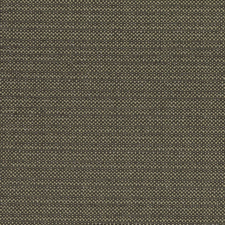 Kauai Charcoal by Clarke And Clarke Designer Fabric CLARKE & CLARKE EXOTICA COTTON - 46%;POLYESTER - 42%;VISCOSE - 12% India HEAVY Horizontal: 0 and Vertical: 0 54 - Swanky Fabrics -