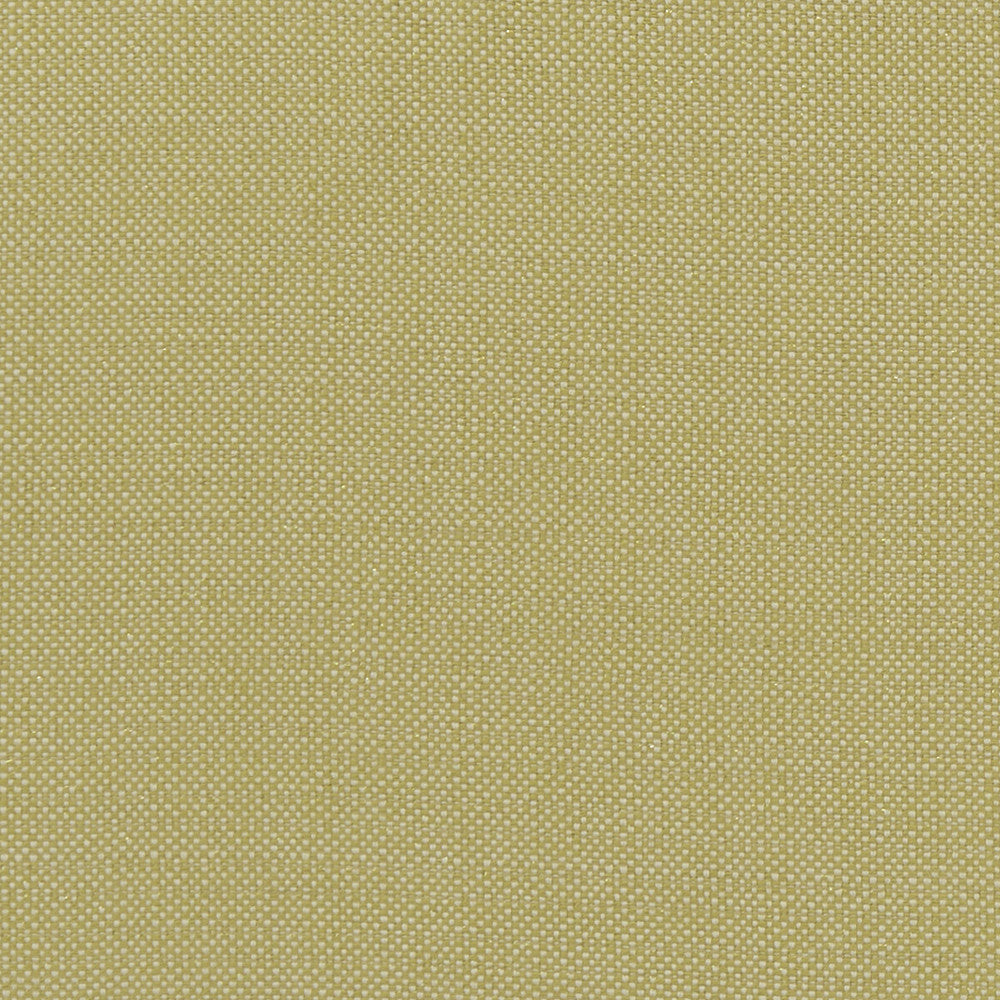 Kauai Citron by Clarke And Clarke Fabric Clarke And Clarke Fabric Kauai CitronFabric CLARKE & CLARKE EXOTICA COTTON - 46%;POLYESTER - 42%;VISCOSE - 12% India </p><p>Repeat: H: 0, V: 0 54 - Fabric Carolina -