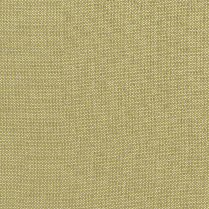 Kauai Citron by Clarke And Clarke Designer Fabric CLARKE & CLARKE EXOTICA COTTON - 46%;POLYESTER - 42%;VISCOSE - 12% India HEAVY Horizontal: 0 and Vertical: 0 54 - Swanky Fabrics -