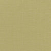 Kauai Citron by Clarke And Clarke Designer Fabric