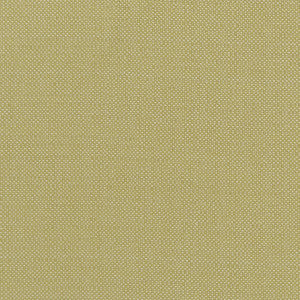 Kauai Citron by Clarke And Clarke Designer Fabric