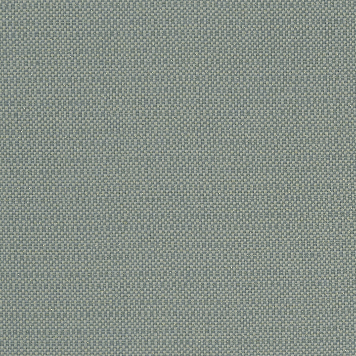 Kauai Mineral by Clarke And Clarke Designer Fabric CLARKE & CLARKE EXOTICA COTTON - 46%;POLYESTER - 42%;VISCOSE - 12% India HEAVY Horizontal: 0 and Vertical: 0 54 - Swanky Fabrics -