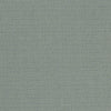 Kauai Mineral by Clarke And Clarke Designer Fabric