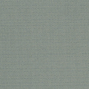 Kauai Mineral by Clarke And Clarke Designer Fabric