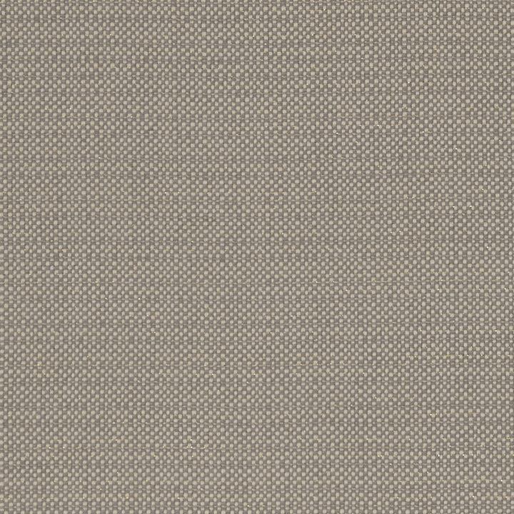 Kauai Mocha by Clarke And Clarke Designer Fabric CLARKE & CLARKE EXOTICA COTTON - 46%;POLYESTER - 42%;VISCOSE - 12% India HEAVY Horizontal: 0 and Vertical: 0 54 - Swanky Fabrics -