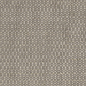 Kauai Mocha by Clarke And Clarke Designer Fabric