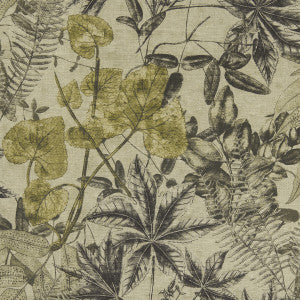 Madagascar Charcoal/Charteuse by Clarke And Clarke Designer Fabric