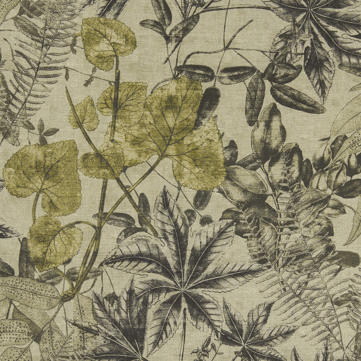 Madagascar Charcoal/Charteuse by Clarke And Clarke Designer Fabric CLARKE & CLARKE EXOTICA VISCOSE - 75%;LINEN - 25% India HEAVY Horizontal: 53.125 and Vertical: 26.375 54 - Swanky Fabrics -