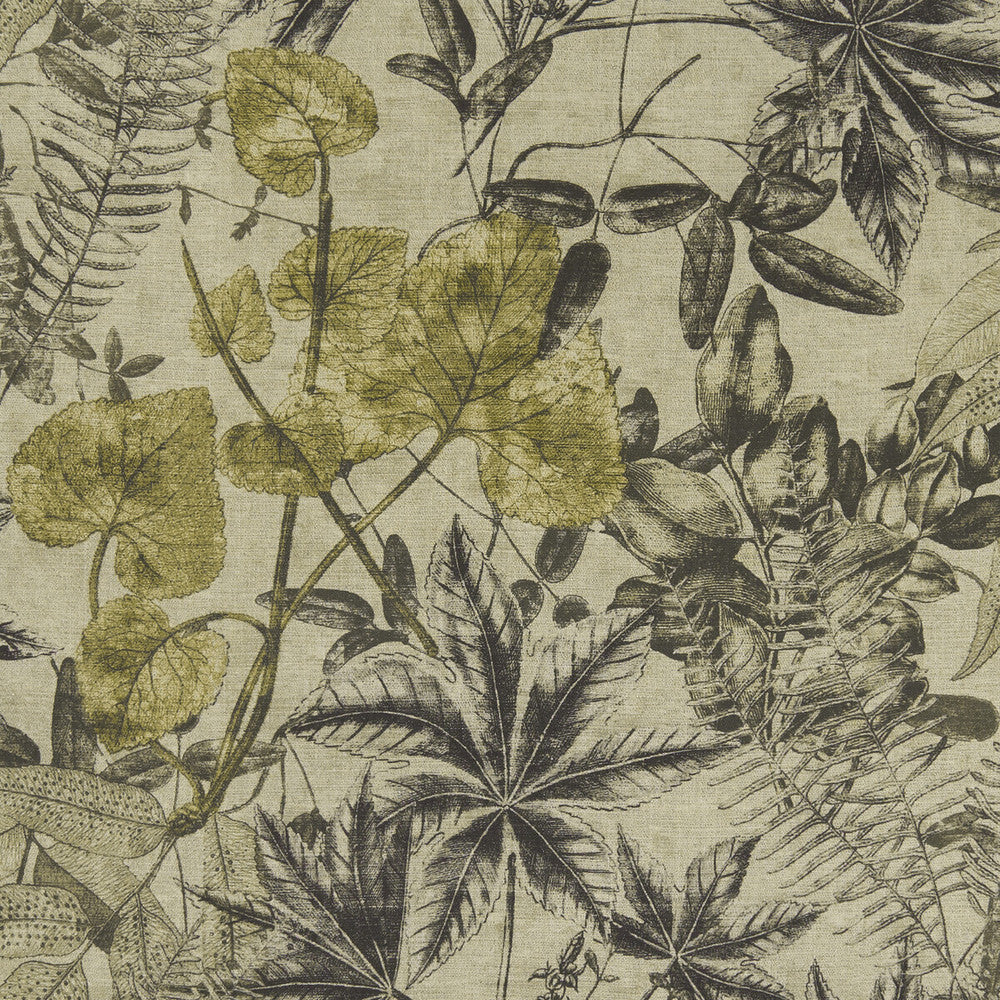 Madagascar Charcoal/Charteuse by Clarke And Clarke Fabric Clarke And Clarke Fabric Madagascar Charcoal/CharteuseFabric CLARKE & CLARKE EXOTICA VISCOSE - 75%;LINEN - 25% India </p><p>Repeat: H: 53.125, V: 26.375 54 - Fabric Carolina -