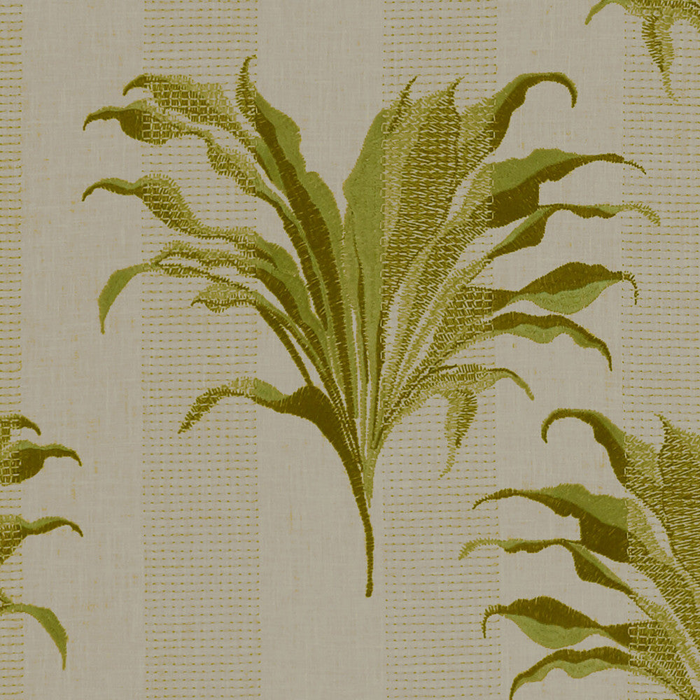Palma Citron by Clarke And Clarke Fabric Clarke And Clarke Fabric Palma CitronFabric CLARKE & CLARKE EXOTICA POLYESTER - 52%;COTTON - 48% India </p><p>Repeat: H: 17, V: 12.875 54 - Fabric Carolina -