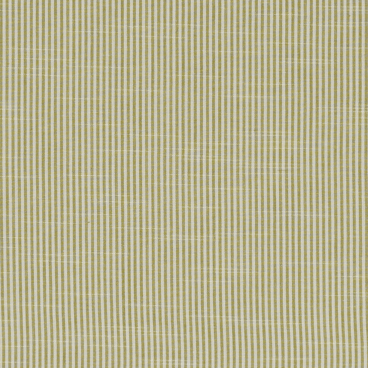 Bempton Olive by Clarke And Clarke Designer Fabric CLARKE & CLARKE BEMPTON COTTON - 100% India Horizontal: 0.1875 and Vertical: 0 55.125 - Swanky Fabrics -