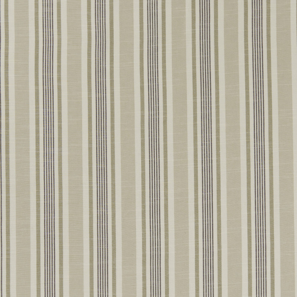 Mappleton Charcoal by Clarke And Clarke Designer Fabric CLARKE & CLARKE BEMPTON COTTON - 100% India - Horizontal: 4.5 and Vertical: 0 55.125 - Swanky Fabrics -