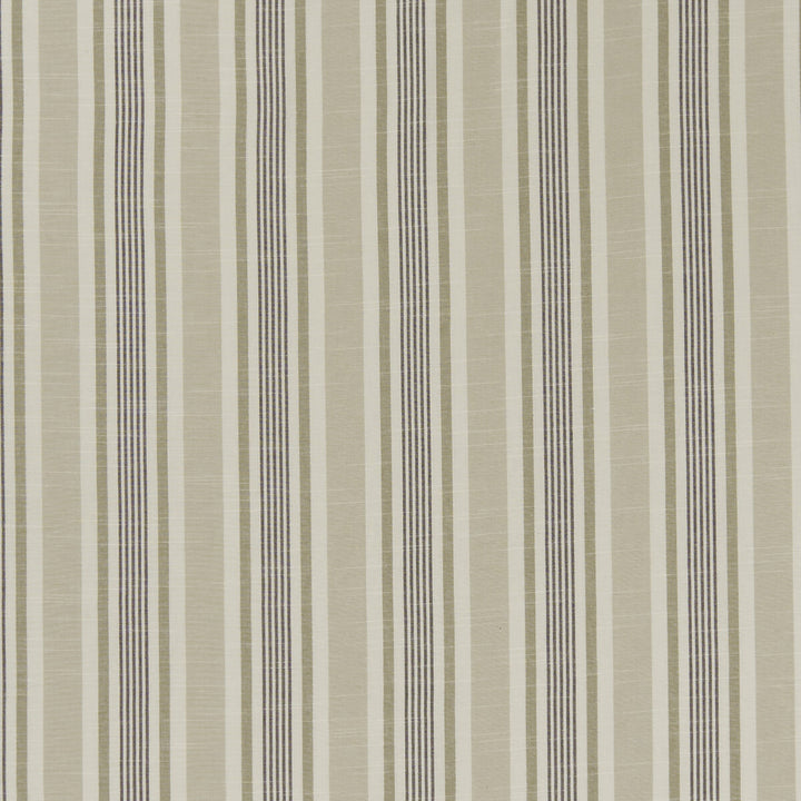 Mappleton Charcoal by Clarke And Clarke Designer Fabric CLARKE & CLARKE BEMPTON COTTON - 100% India Horizontal: 4.5 and Vertical: 0 55.125 - Swanky Fabrics -