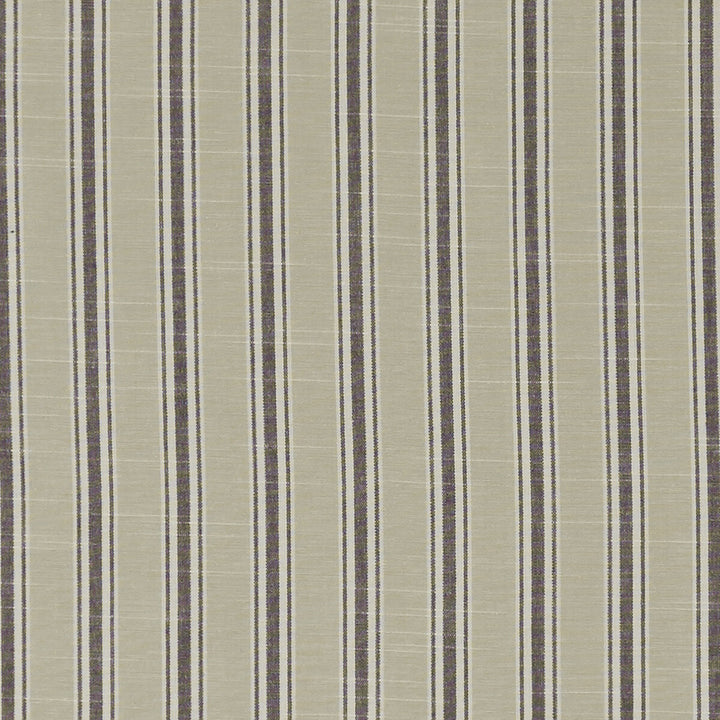 Thornwick Charcoal by Clarke And Clarke Designer Fabric CLARKE & CLARKE BEMPTON COTTON - 100% India Horizontal: 1.5 and Vertical: 0 55.125 - Swanky Fabrics -
