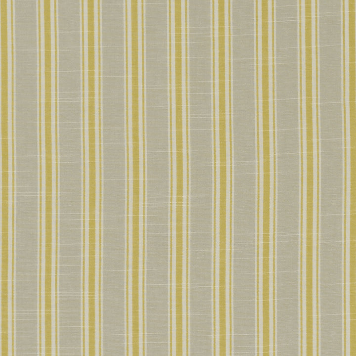 Thornwick Citrus by Clarke And Clarke Designer Fabric CLARKE & CLARKE BEMPTON COTTON - 100% India Horizontal: 1.5 and Vertical: 0 55.125 - Swanky Fabrics -