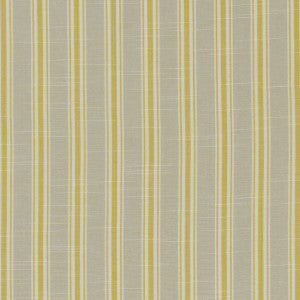 Thornwick Citrus by Clarke And Clarke Designer Fabric