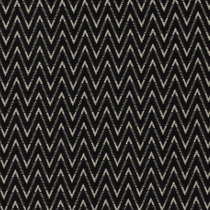 Zion Noir by Clarke And Clarke Designer Fabric