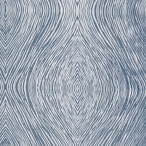 Luster Denim by Clarke And Clarke Designer Fabric