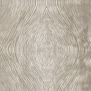 Luster Mocha by Clarke And Clarke Designer Fabric