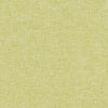 Kelso Citrus by Clarke And Clarke Designer Fabric