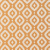 Soraya Spice by Clarke And Clarke Designer Fabric