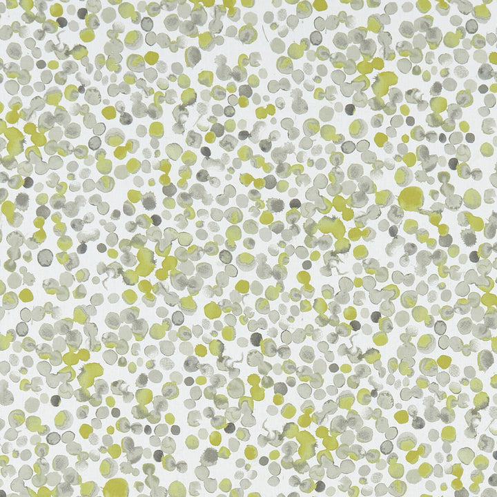 Lugar Chartreuse by Clarke And Clarke Designer Fabric CLARKE & CLARKE PALMERO COTTON - 100% Spain MEDIUM Horizontal: 13.625 and Vertical: 27.625 54 - Swanky Fabrics -