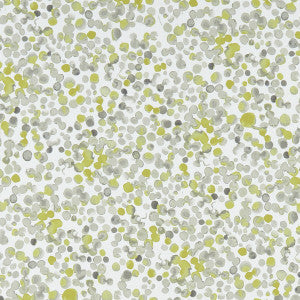 Lugar Chartreuse by Clarke And Clarke Designer Fabric