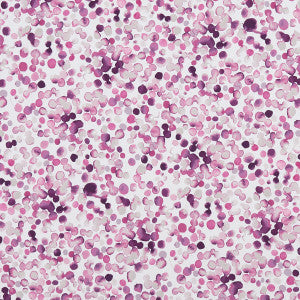 Lugar Magenta by Clarke And Clarke Designer Fabric