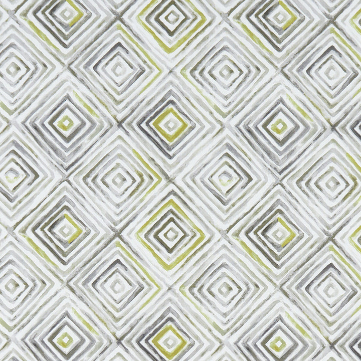 Otis Chartreuse/Charcoal by Clarke And Clarke Designer Fabric CLARKE & CLARKE PALMERO COTTON - 100% Spain MEDIUM Horizontal: 13.625 and Vertical: 13.875 54 - Swanky Fabrics -