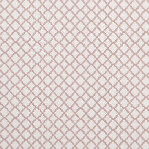 Ariyana Blush by Clarke And Clarke Designer Fabric