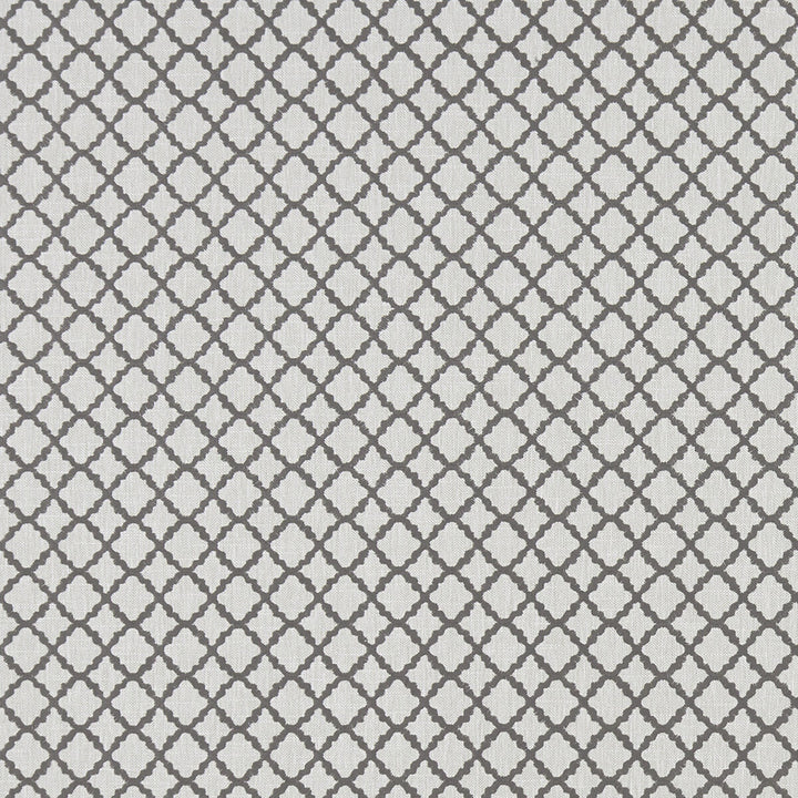 Ariyana Charcoal by Clarke And Clarke Designer Fabric CLARKE & CLARKE PRINCE OF PERSIA COTTON - 61%;POLYESTER - 24%;VISCOSE - 15% India - Horizontal: 1.625 and Vertical: 1.625 50.5 - Swanky Fabrics -